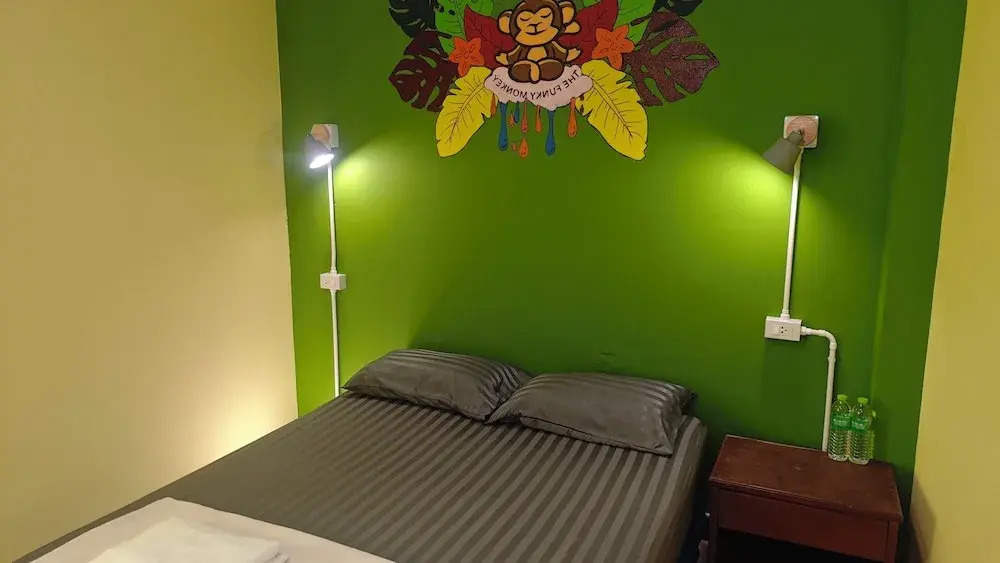 The Funky Monkey Hostel - 18 to 40 years old only