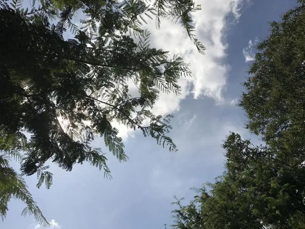 Suan Ngern Resort