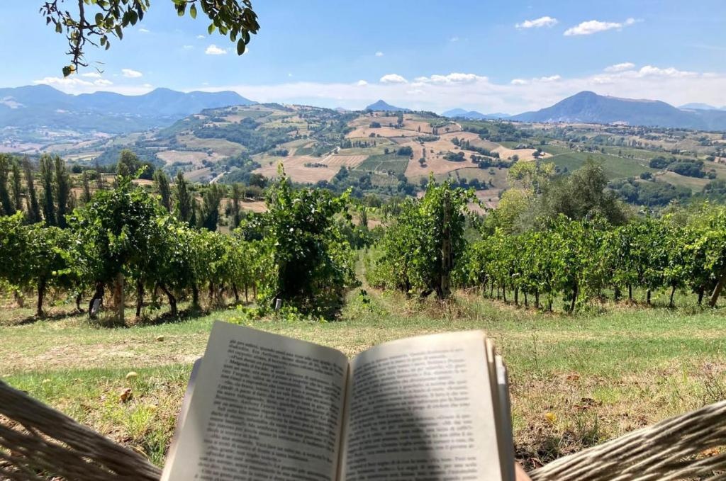 Villa Verdicchio - B&B with wellness for winelovers