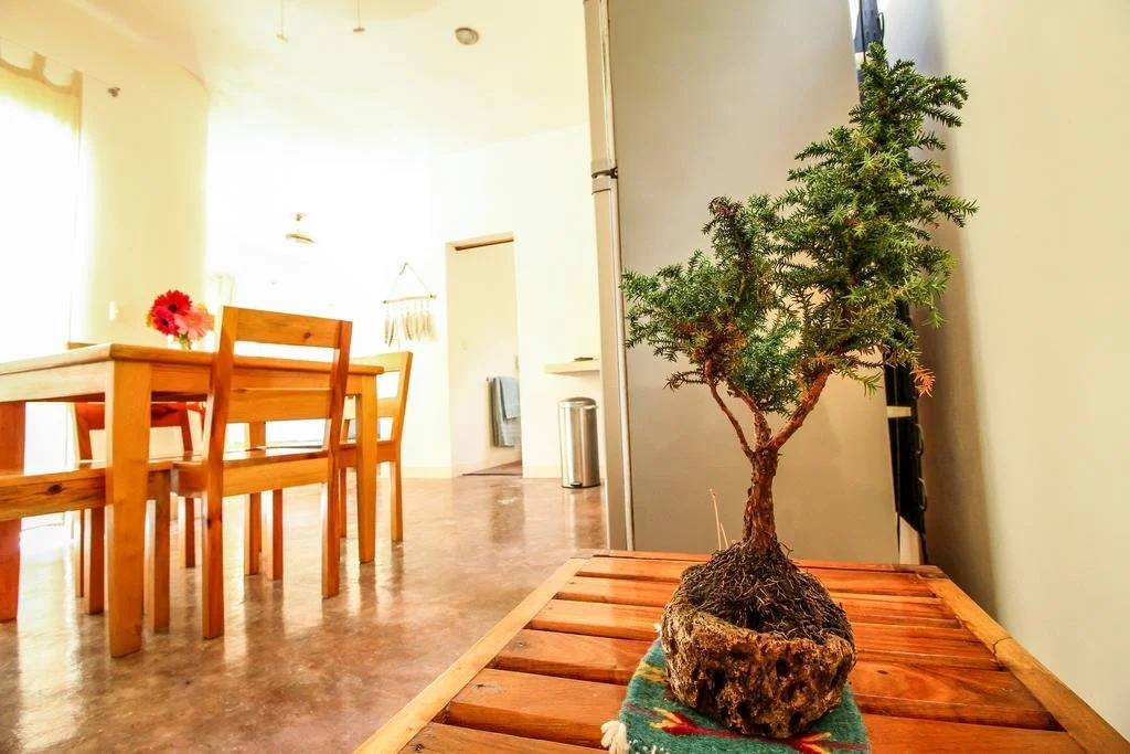 Villas Colibri Tulum
