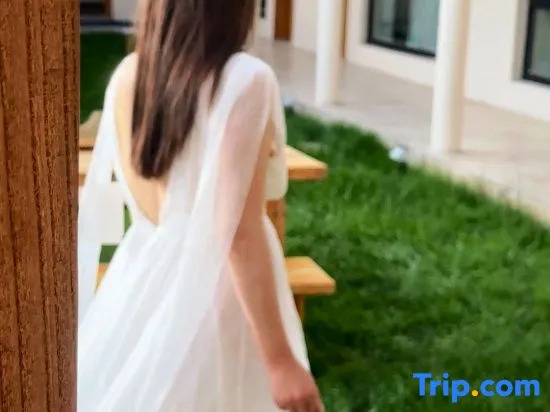 Yanlanli Vacilando | Designer Resort Garden Homestay (Tekes Bagua City)