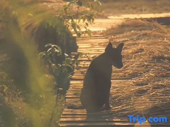 Yidan’s Permaculture Farm stay