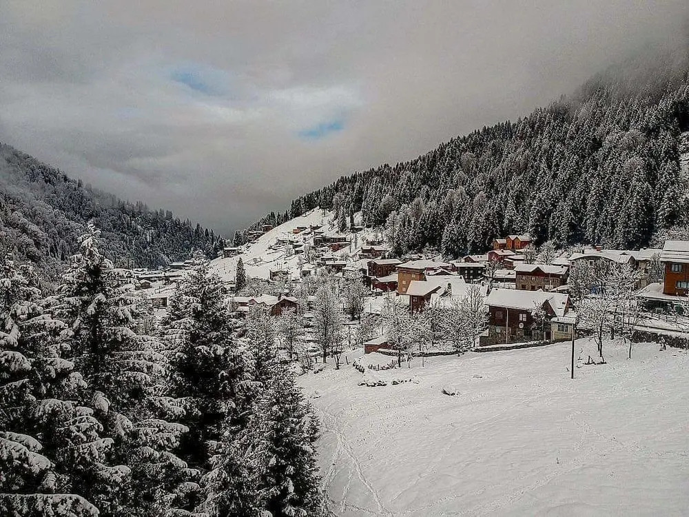 Zafran Otel