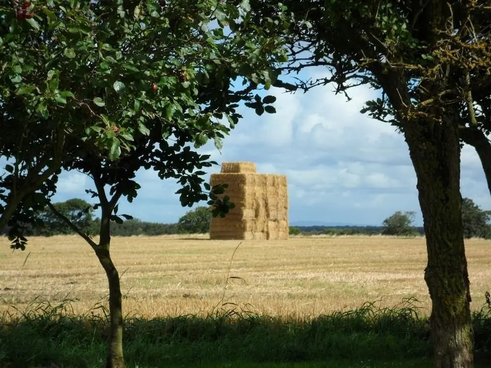 Sandy Brook Farm