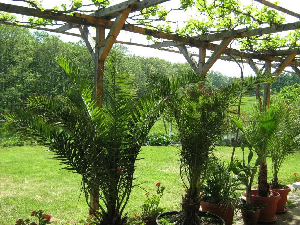 Victoria Sinemorets Guest House