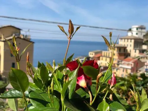 Guest House 3 Stars Riomaggiore