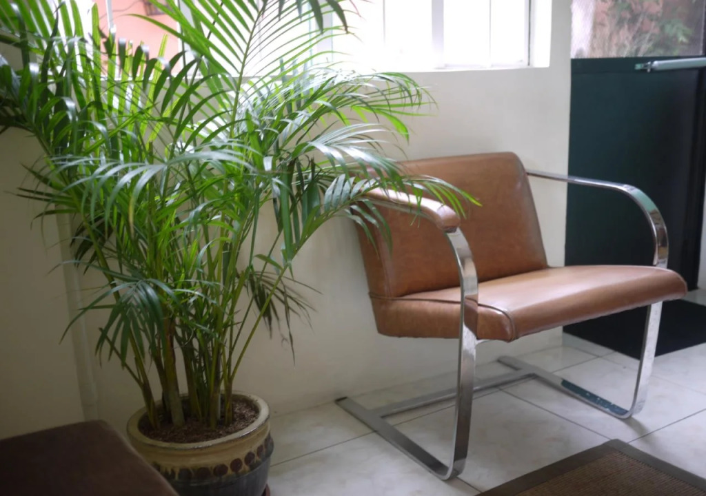 1 River Central Hostel