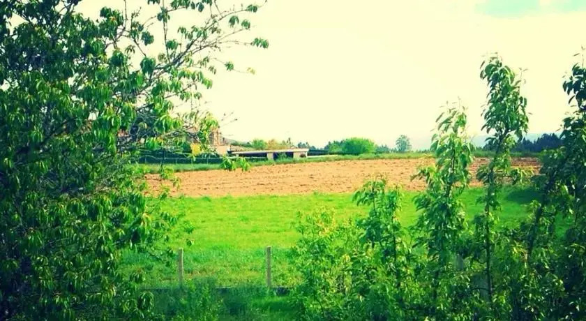 En Ruta scq