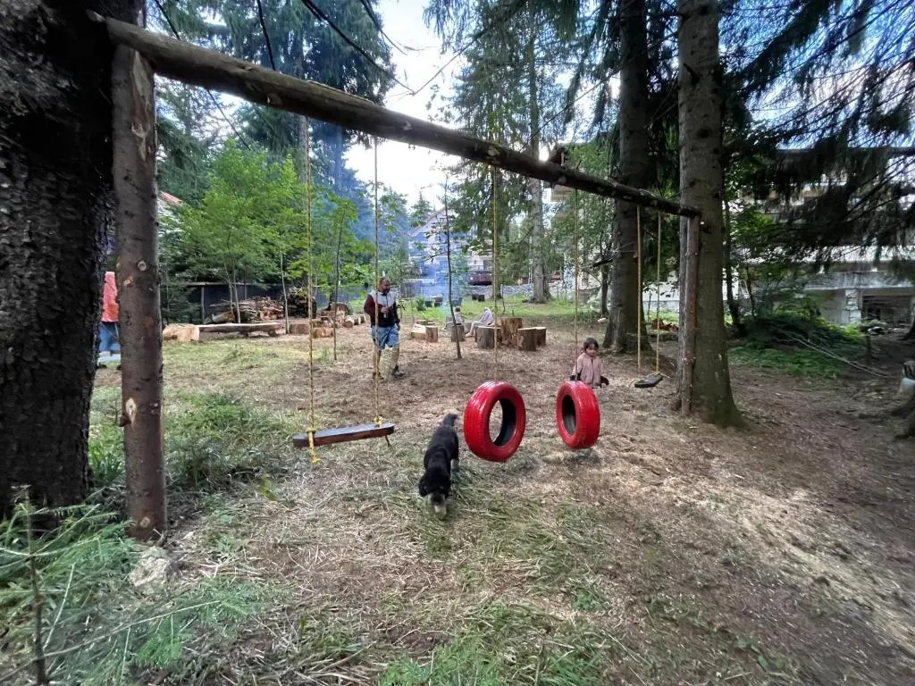 Pensiunea Carpatic Trei Brazi Predeal