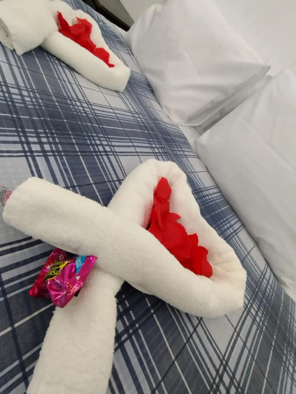 Pousada Villa de charme hospedagem com hidromassagem e lareira