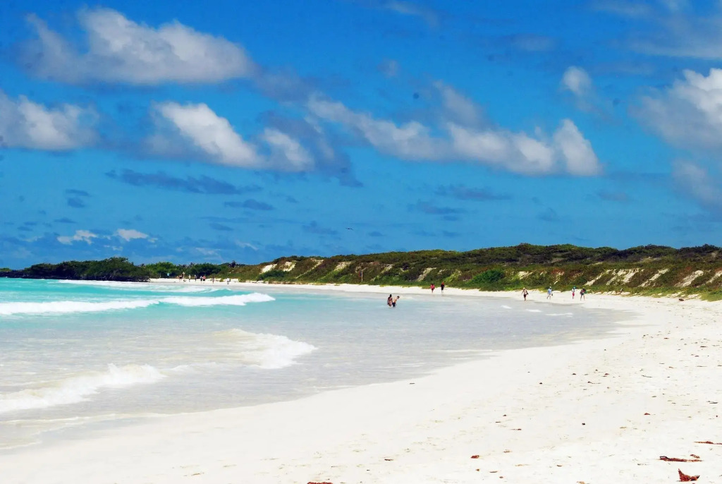 The Island Home