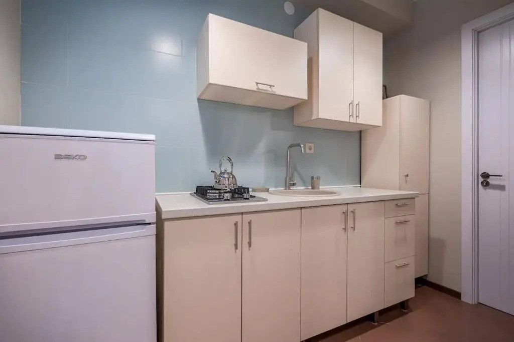 ?Cozy and Stylish 1BR apt. Near Rustaveli Avenue?