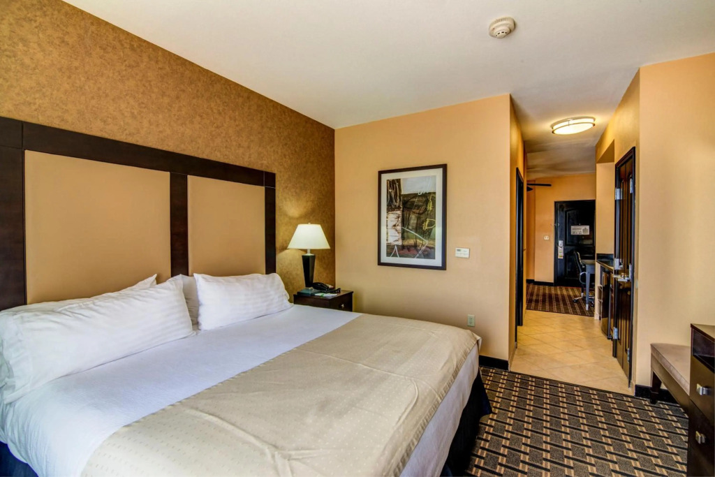 Holiday Inn Arlington NE-Rangers Ballpark by IHG