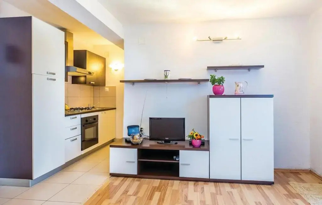 Apartment Ivan Mili