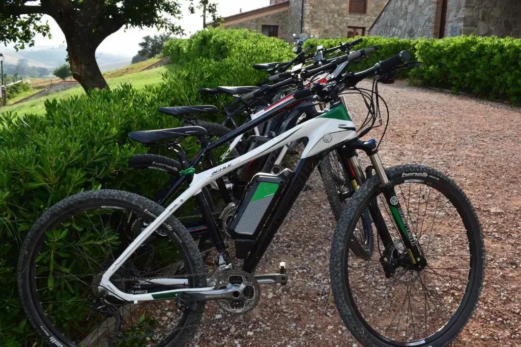 Il Poggio Della Pieve Apartments