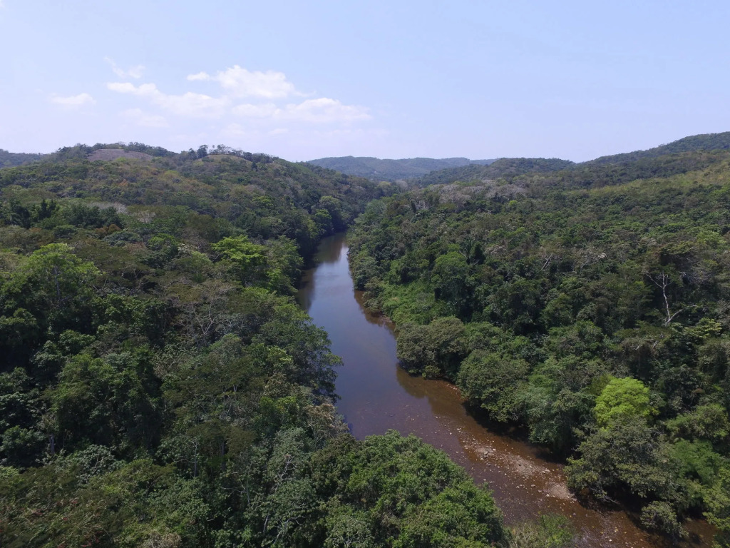 Table Rock Jungle Lodge