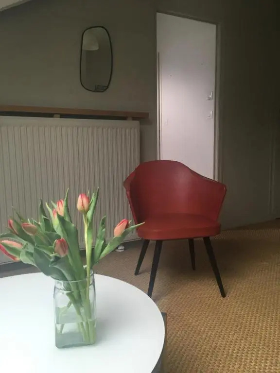 Appartement cosy et lumineux