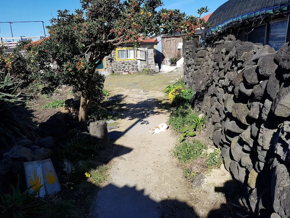 Santiago Guesthouse Hamdeok - Hostel