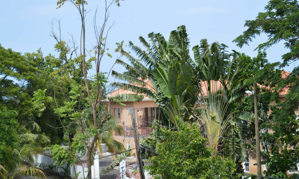 Casa de Shalom