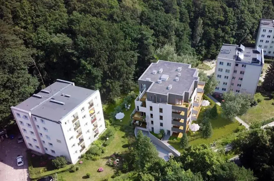 Forest - 23 Marca Sopot