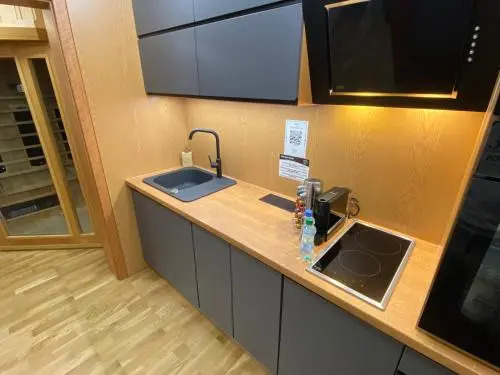 Luxury Apartments Ostrava