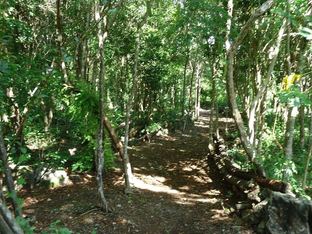 3 Bedroom Vacation Rental