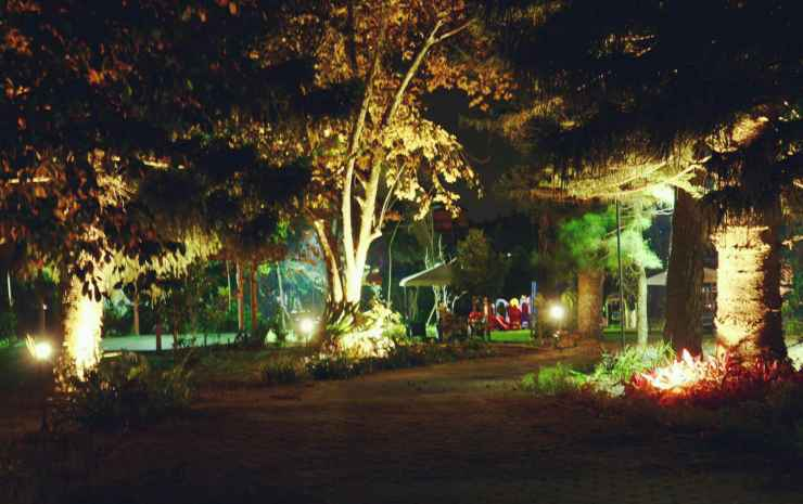 The Forest @cisarua