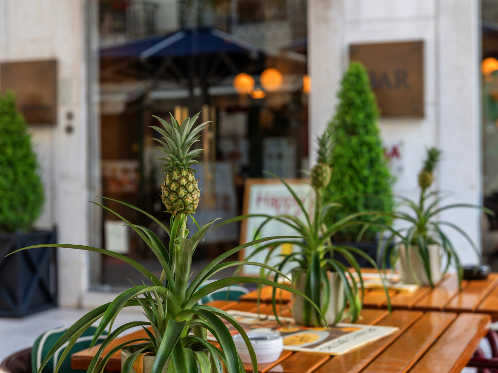 Browns Boutique Hotel