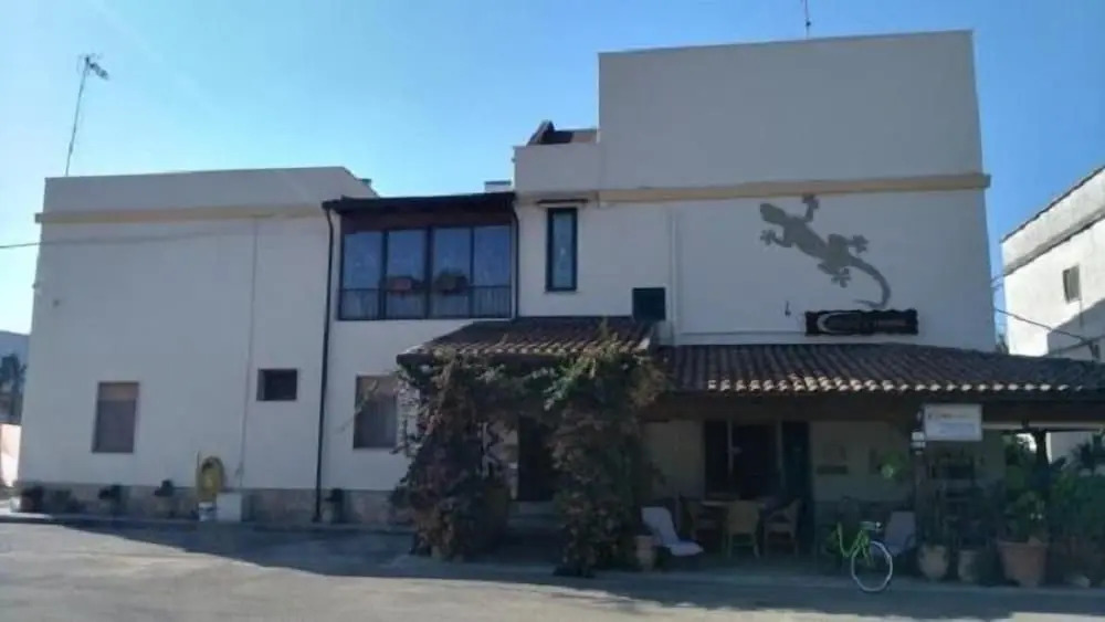 Geckos House