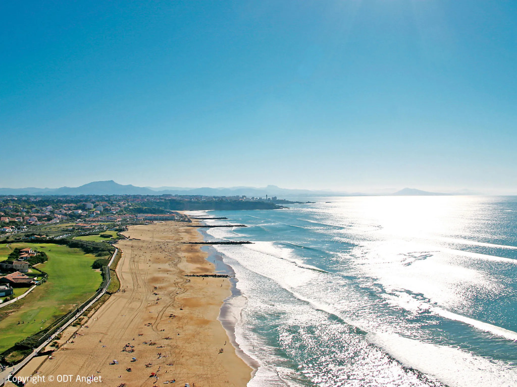 Avenue de Biarritz