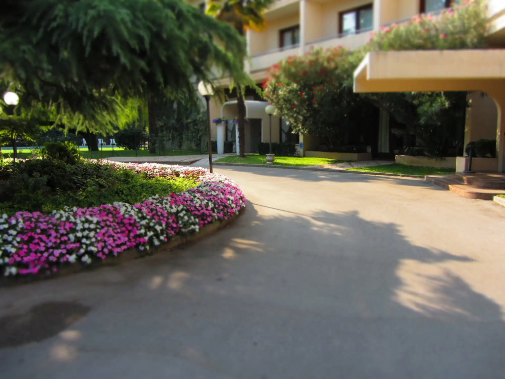 Blue Dream Hotel