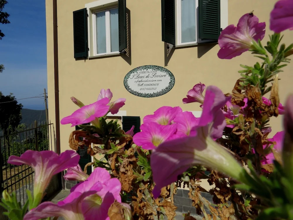 I Lecci Di Soviore
