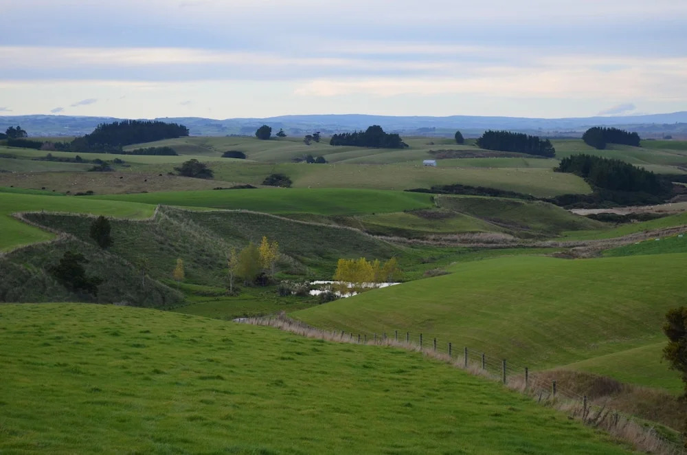 The Cloan At The Catlins