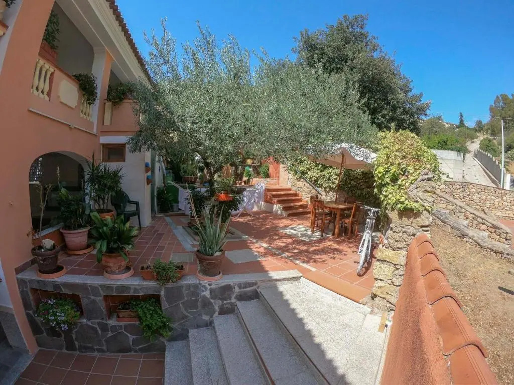 Casa A&M 2