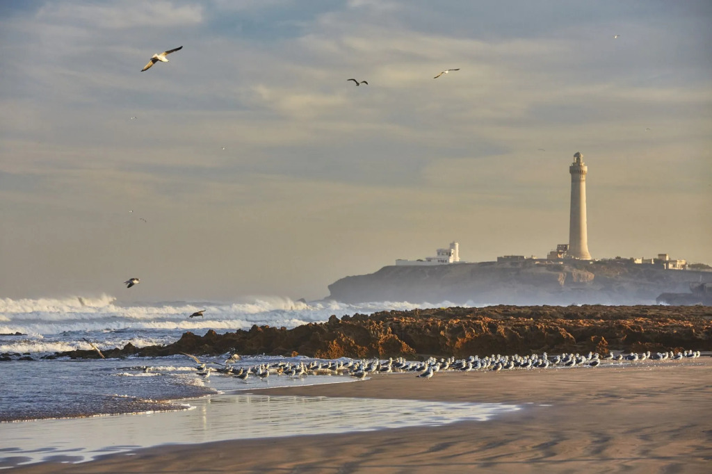Four Seasons Hotel Casablanca