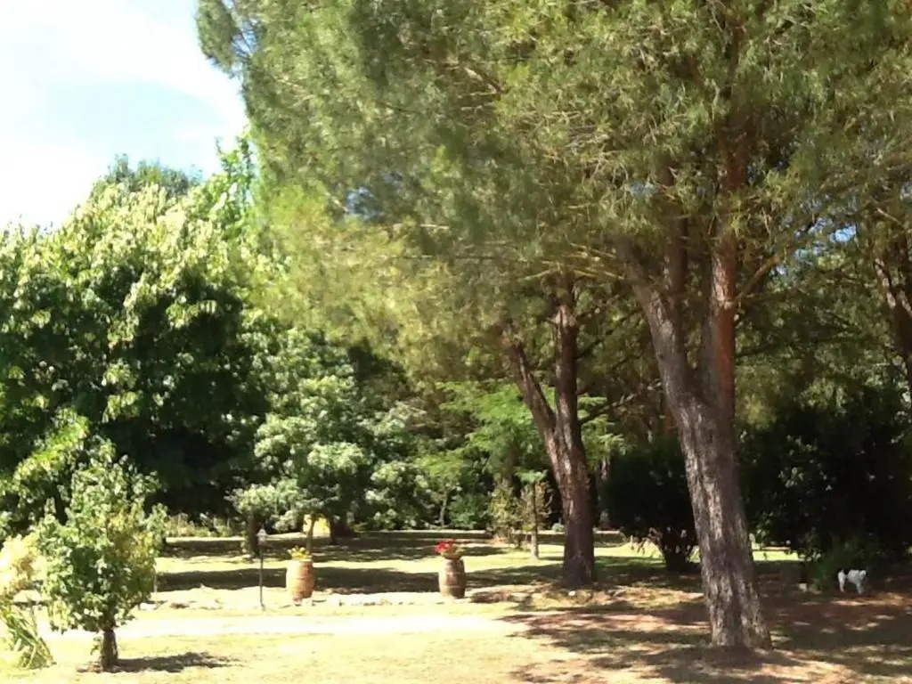 Campo alle Monache