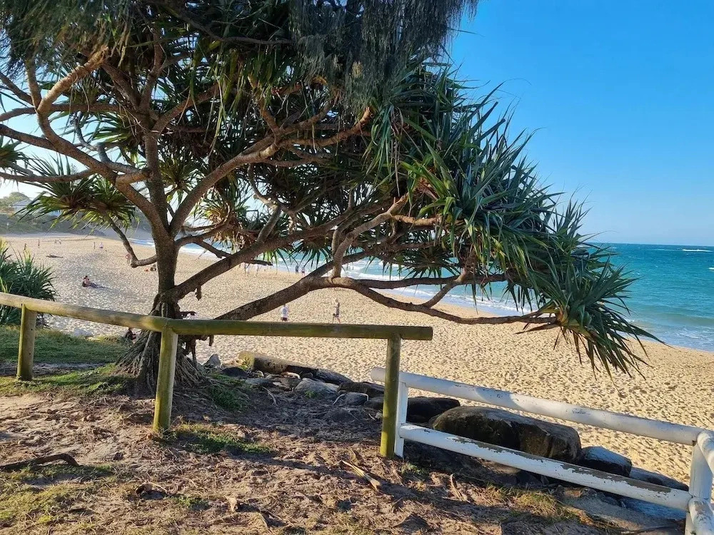 Seaestaatmoffatquietbeachparklargefenced Yard