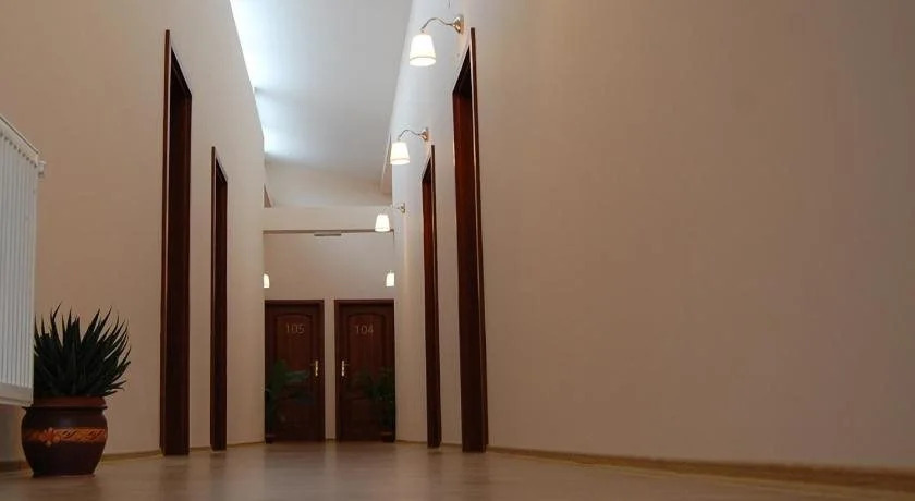 Hostel Paltinis