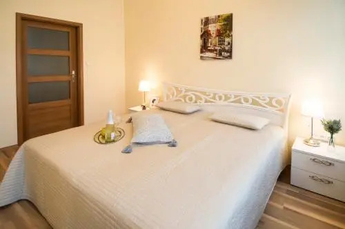 Apartment Za Poricskou branou