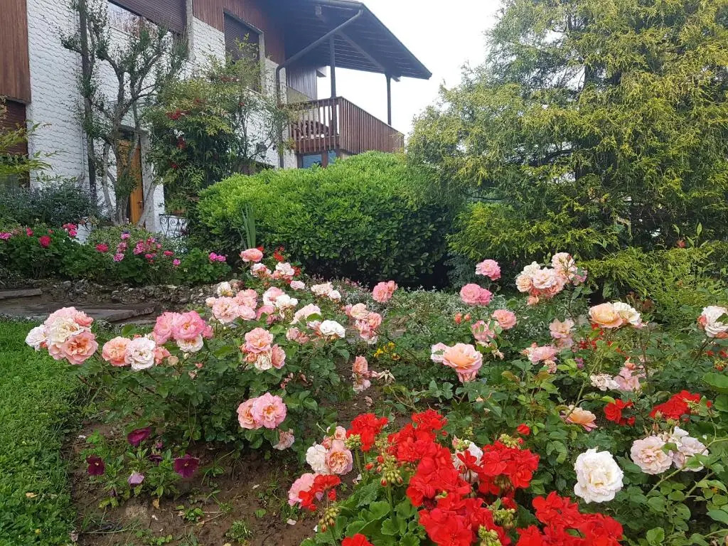 B&B Fontanella