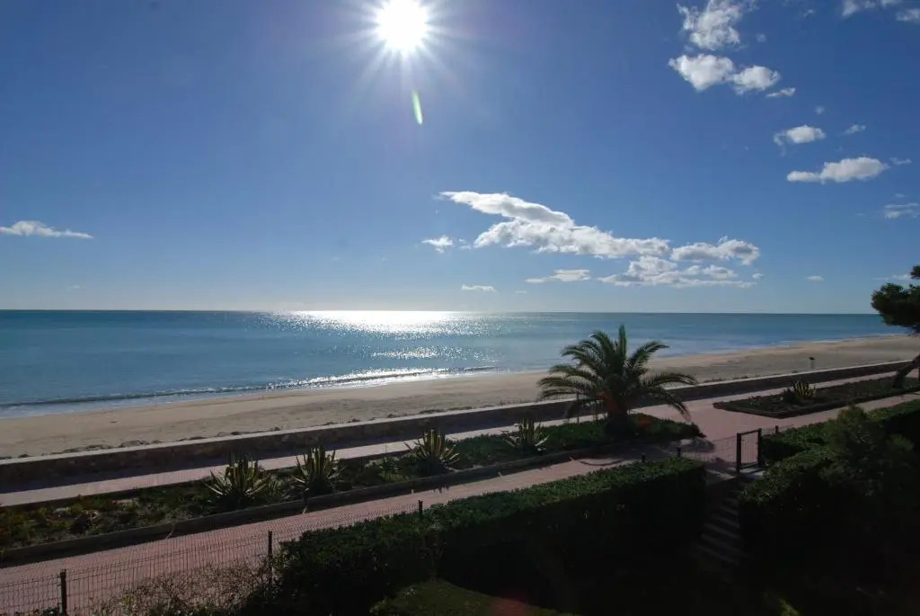 Residencial Guardamar Zeus