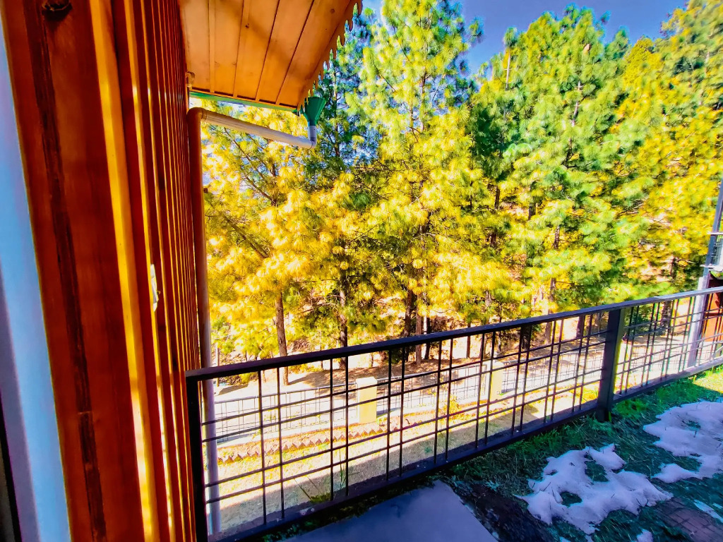 THEHIMALAYANLIVING WHISTLING PINES