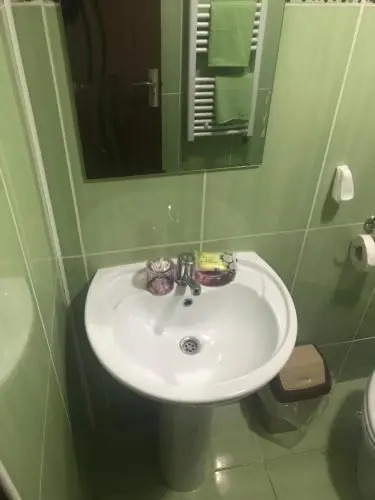 Vila Ammos Apartments Busteni