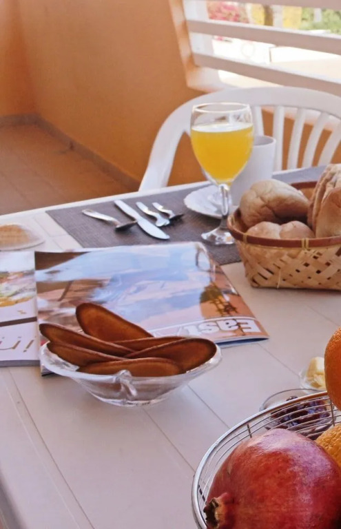 Tavira PALM TREE by east ALgarve guest