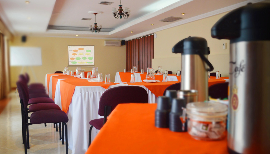 Hotel Plaza Versalles