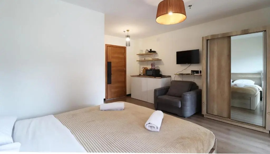 Bright Studio Apartment in Marshall Gudauri