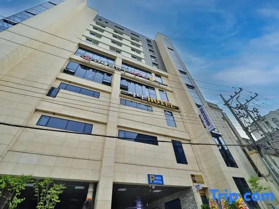 city hotel