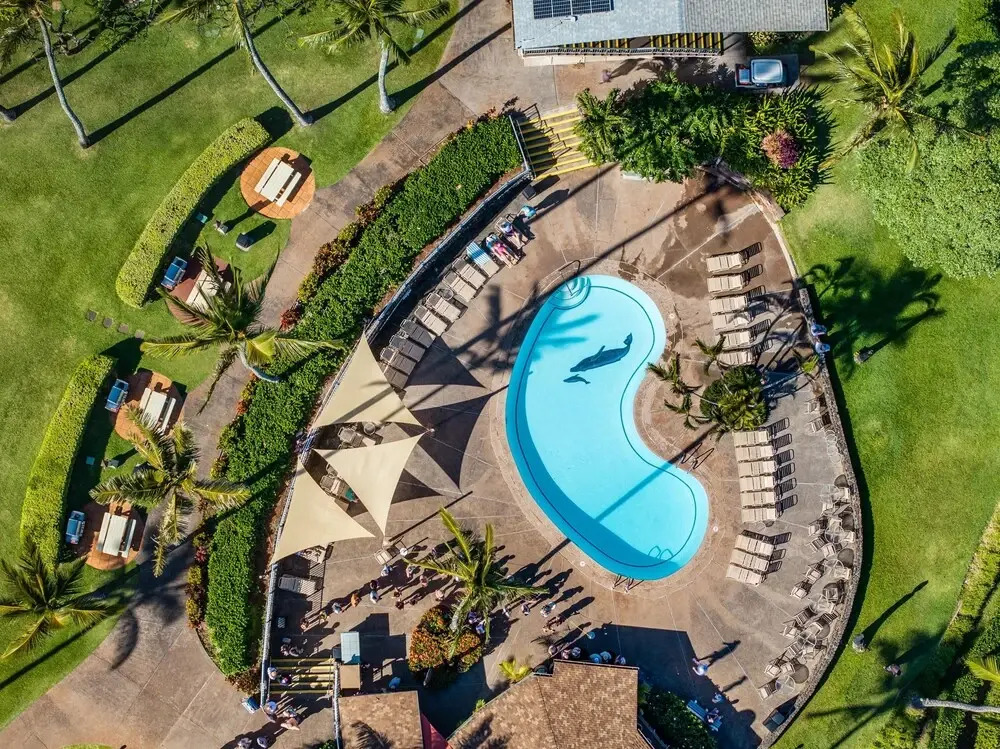 Napili Shores H262 in Lahaina