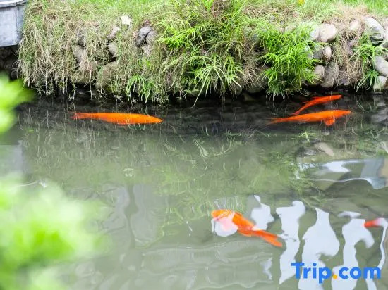 Hongcun Li · Qinghe MIRACLE · WONDERLAND Leisure Courtyard Mountain View Resort Chinese Inn