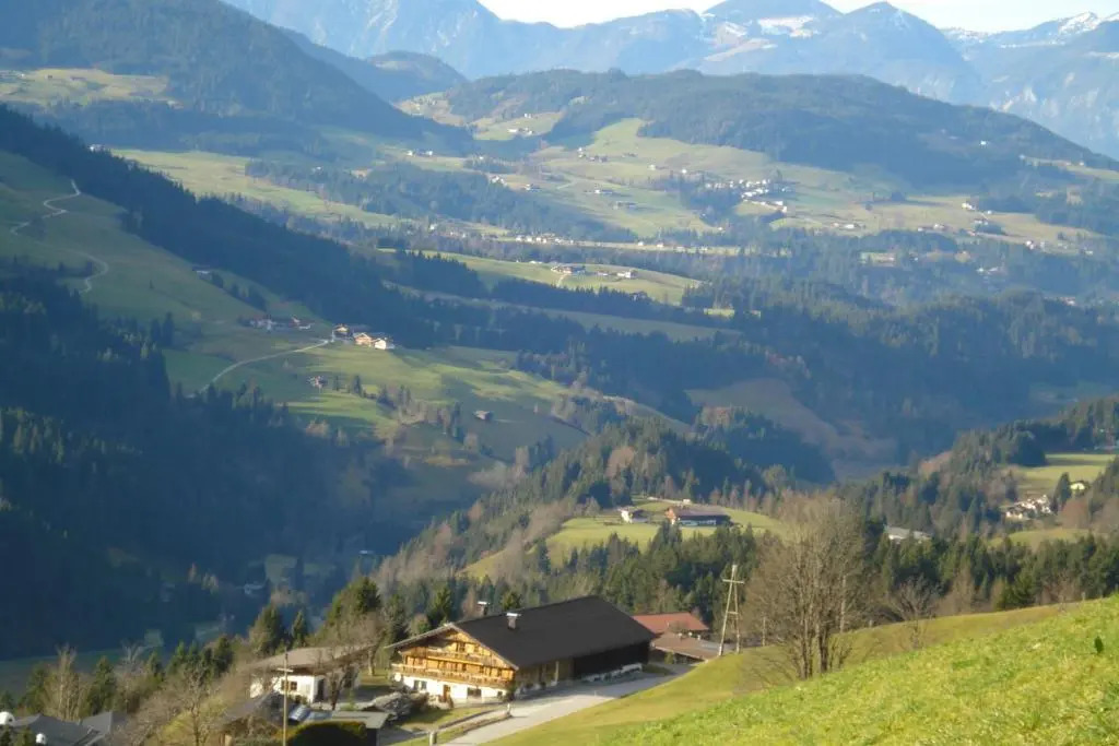 Scherntreinerhof